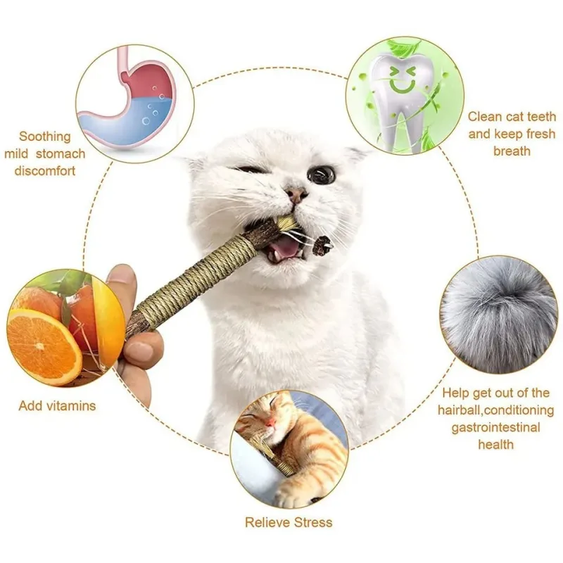 Jouet pour chat en bâtonnets d’herbe à chat