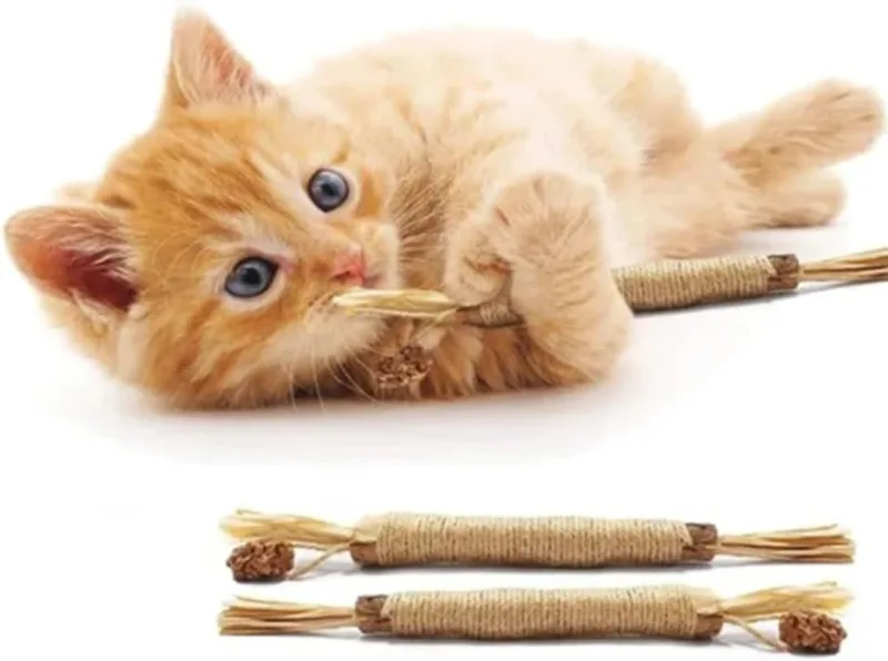 Jouet pour chat en bâtonnets d’herbe à chat