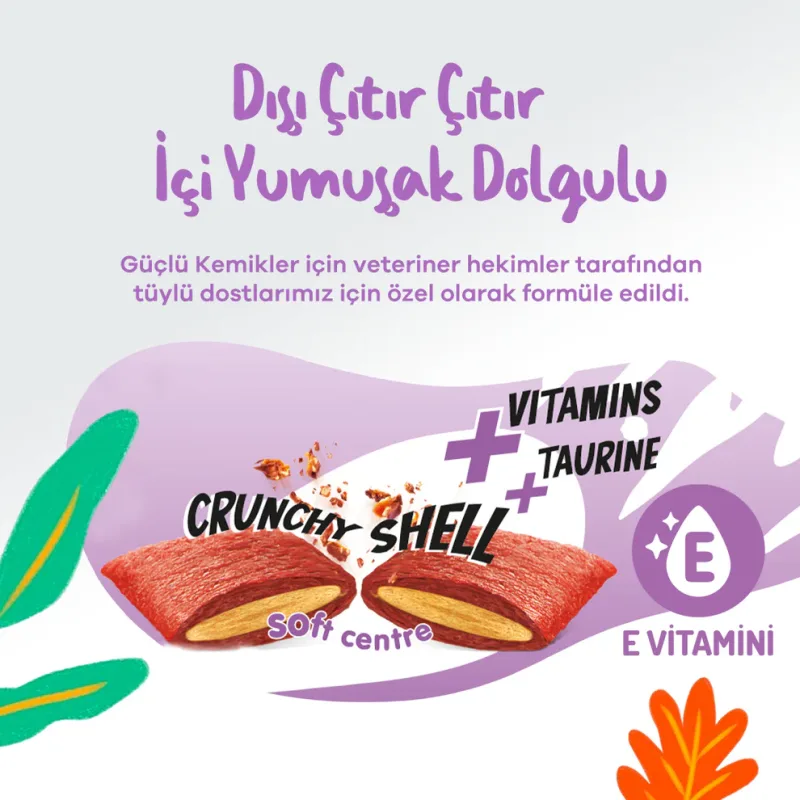 Jungle Biscuits Crunch Hairball Control pour Chat au Poulet et Fromage | Friandises Anti-Boules de Poils