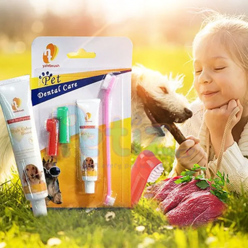 Kit Dentifrice et Brosse à Dents pour Chats et Chiens – Ensemble Complet pour Hygiène Buccale Parfaite – فرشاة و معجون أسنان للقطط و الكلاب