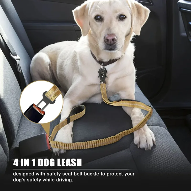 Laisse tactique pour chien / Tactical Dog Leash