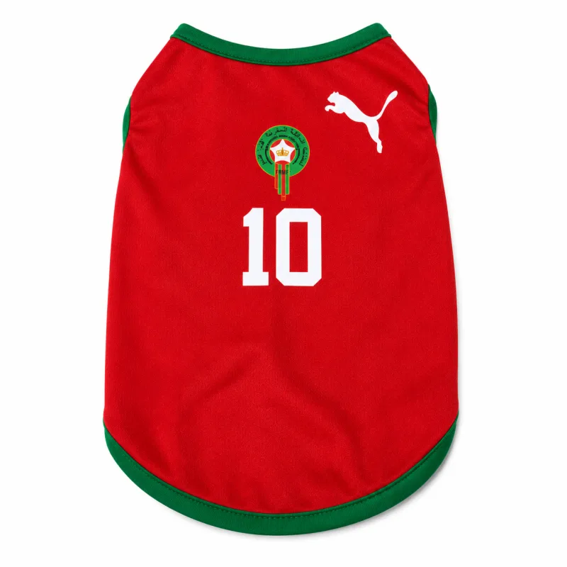 Maillot Maroc pour Chat et Chien – Jersey Supporter Lions de l’Atlas Rouge et Vert