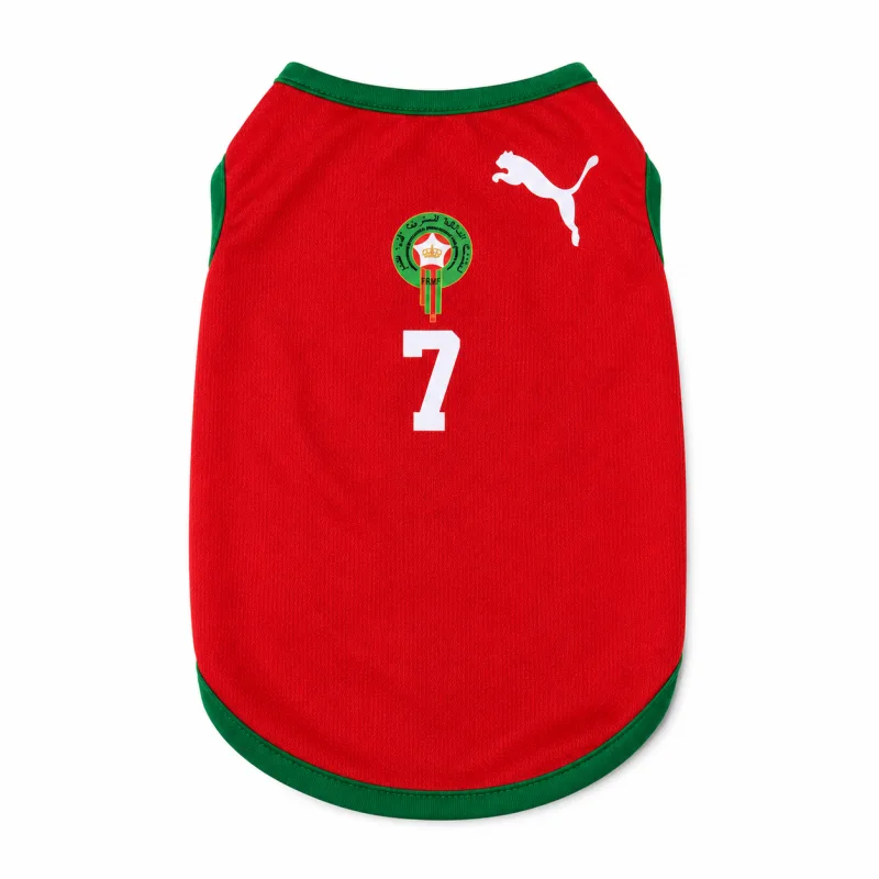 Maillot Maroc pour Chat et Chien – Jersey Supporter Lions de l’Atlas Rouge et Vert