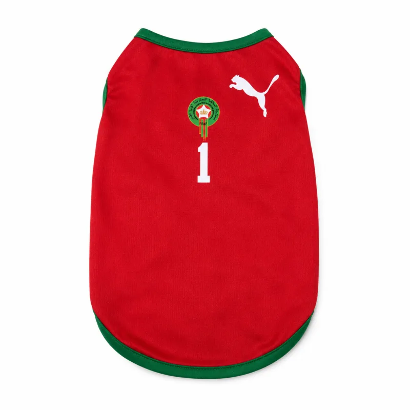 Maillot Maroc pour Chat et Chien – Jersey Supporter Lions de l’Atlas Rouge et Vert