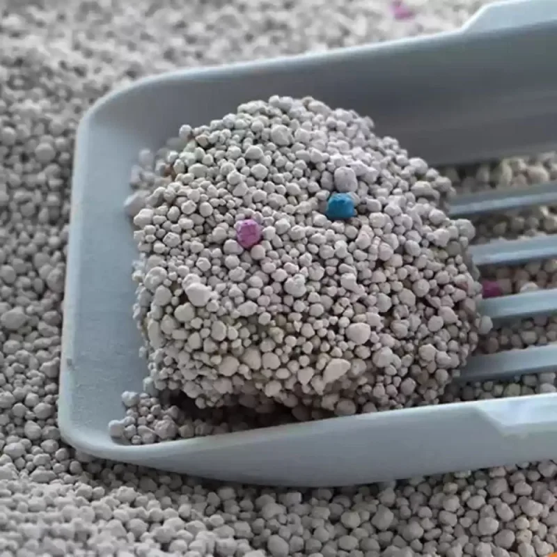 Meilleure litière pour chat agglomérant à la Bentonite au Maroc