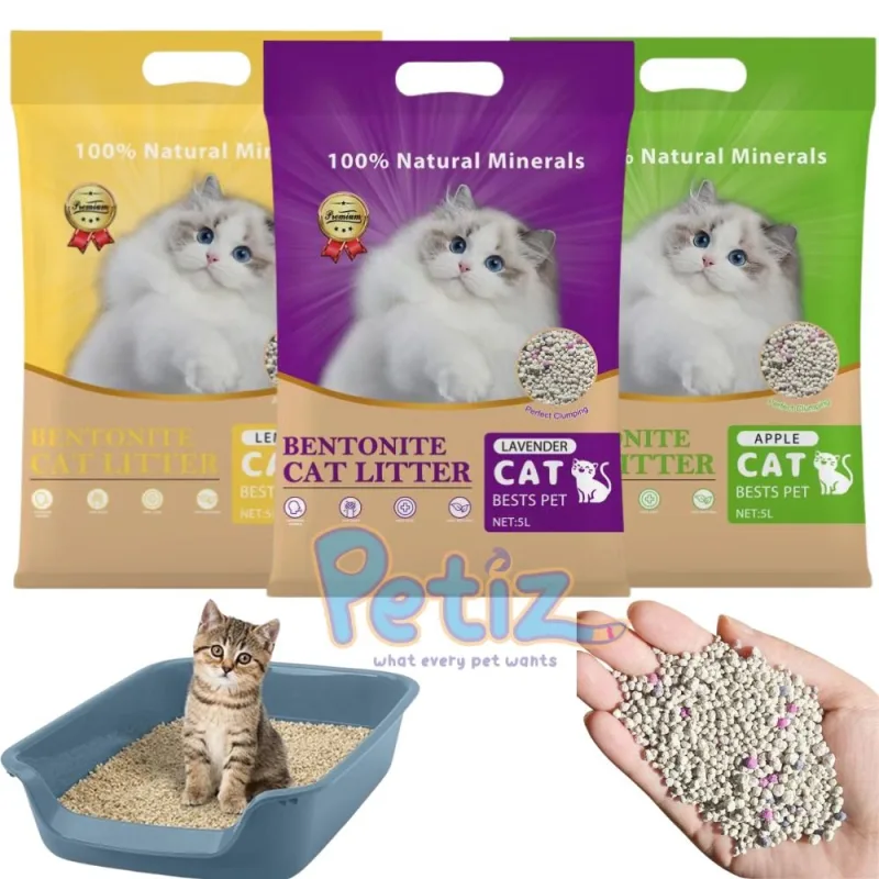 Meilleure litière pour chat agglomérant à la Bentonite au Maroc