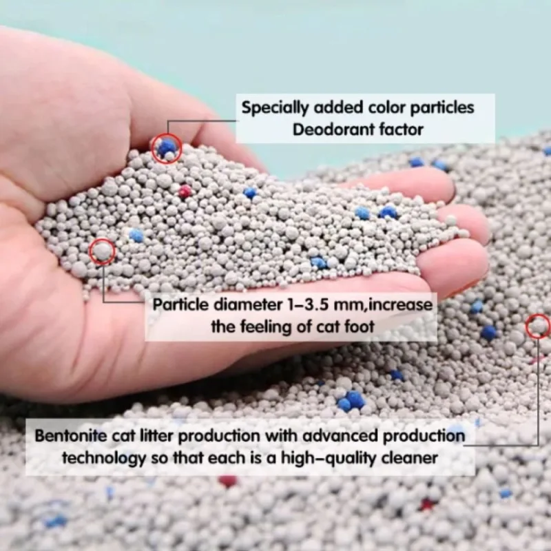Meilleure litière pour chat agglomérant à la Bentonite au Maroc