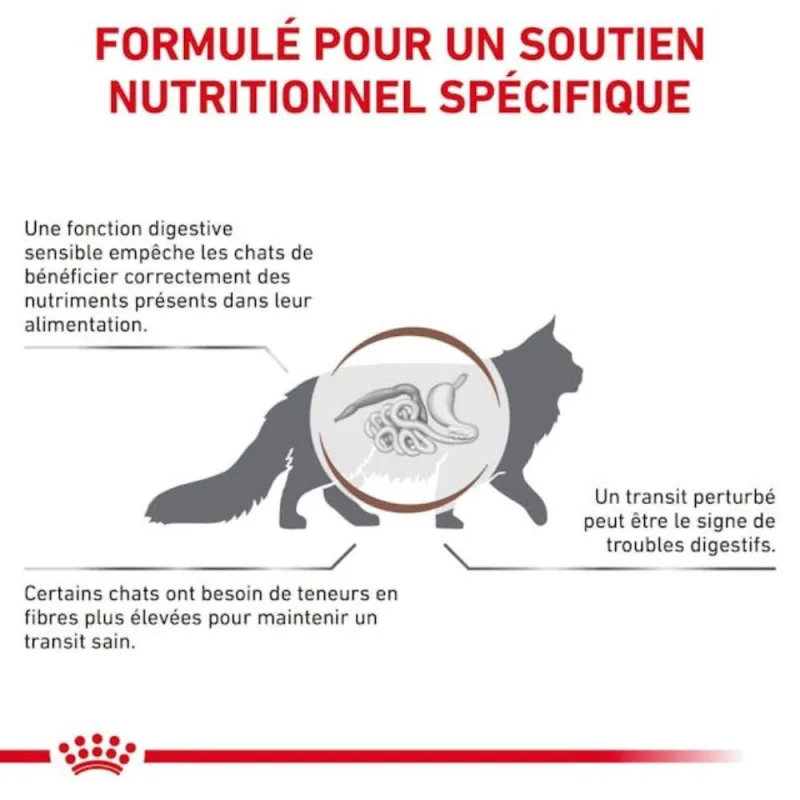 Royal Canin Gastrointestinal Fibre Response pour Chat – Alimentation Vétérinaire pour Constipation Chronique et Troubles Digestifs