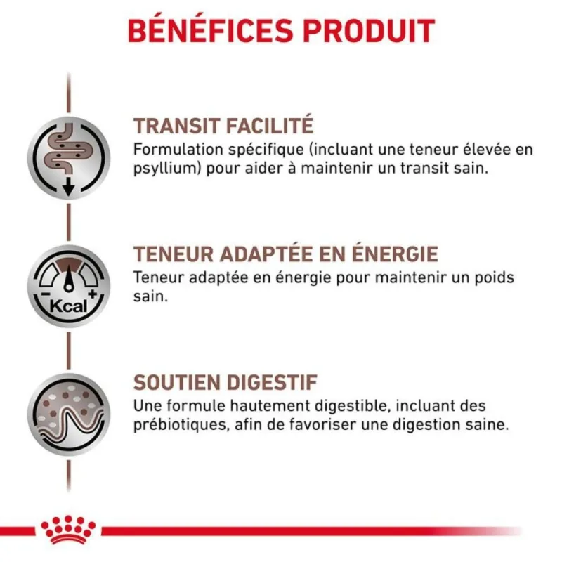 Royal Canin Gastrointestinal Fibre Response pour Chat – Alimentation Vétérinaire pour Constipation Chronique et Troubles Digestifs