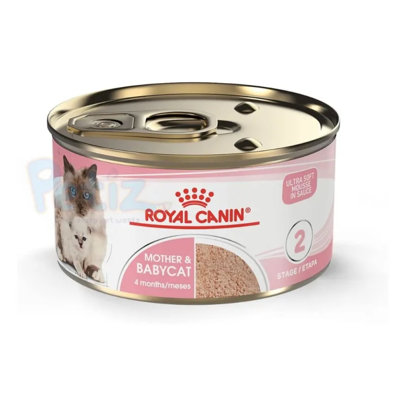 Royal Canin Mother & Babycat pour Chatte Gestante ou Allaitante et Chatons de 1 à 4 Mois – Mousse – Soutien Immunitaire, Digestibilité Optimale, Sevrage en Douceur