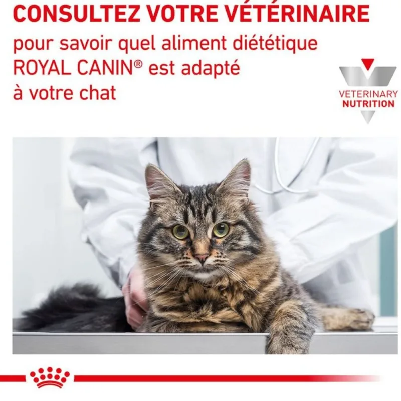 Royal Canin Veterinary Renal pour Chat – Alimentation Vétérinaire pour Insuffisance Rénale Chronique