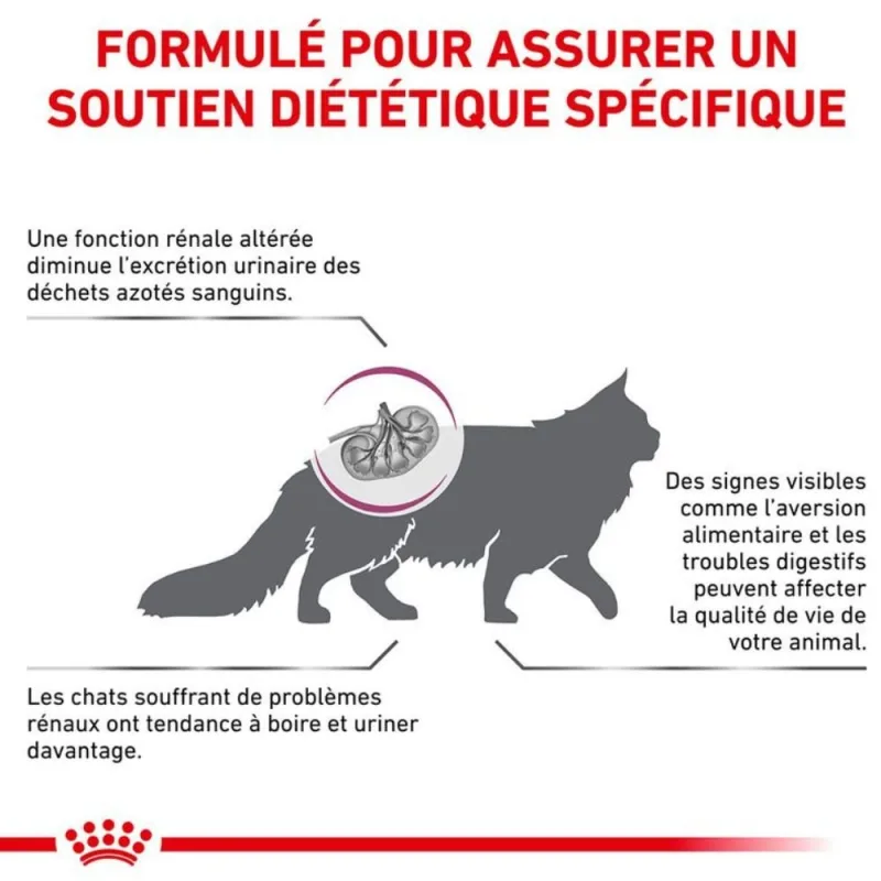 Royal Canin Veterinary Renal pour Chat – Alimentation Vétérinaire pour Insuffisance Rénale Chronique