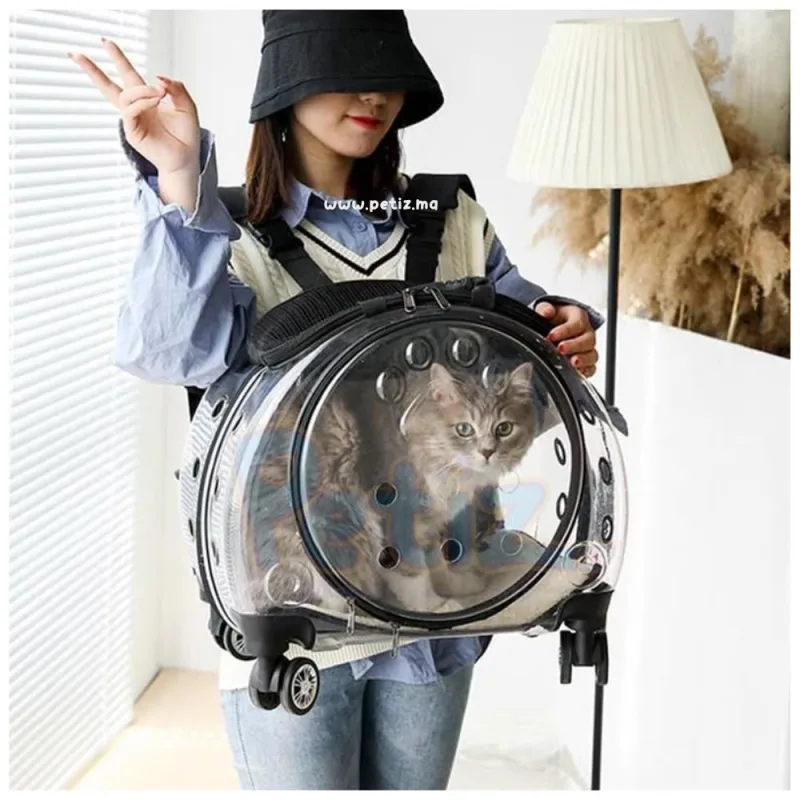 Sac de transport à roulettes pour chat et petit chien – Voyagez en toute simplicité – déal pour les trajets quotidiens, les voyages en voiture, en avion ou les visites chez le vétérinaire