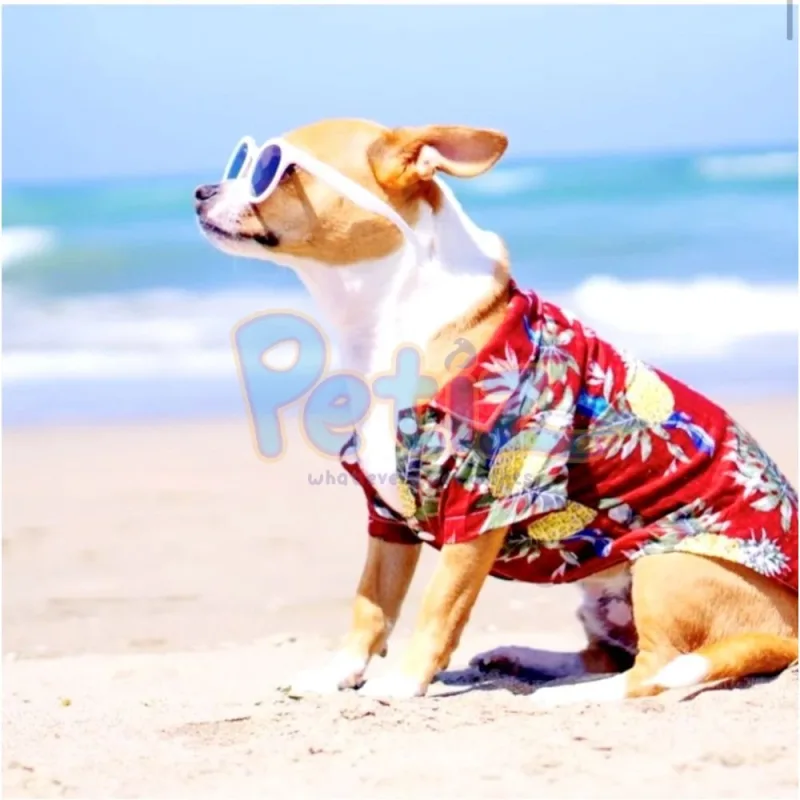T-shirt Chemise pour chien et chat Style Hawaïen Vêtements D’été