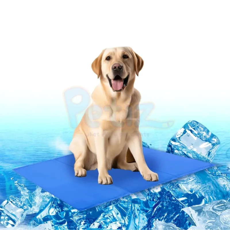 Tapis rafraîchissant pour Chat et Chien grand format soulage ton chien pendant une canicule cool mat accessoire