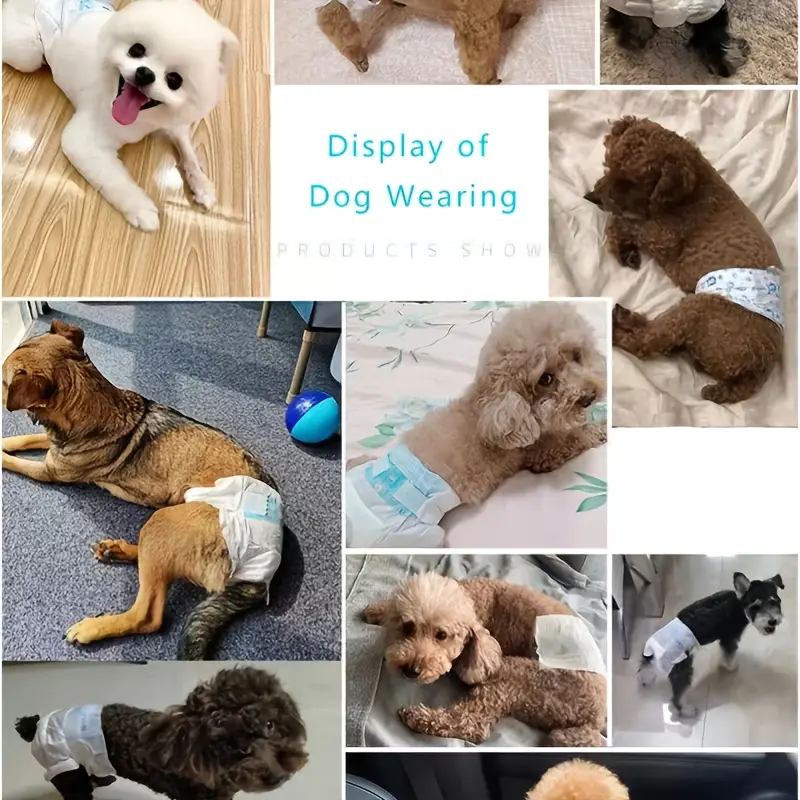 Couche Étanches Pour Chats et Chiens de Petite Taille- Tissu Ysiolo Non Tissé Confortable – Taille S-Femelle