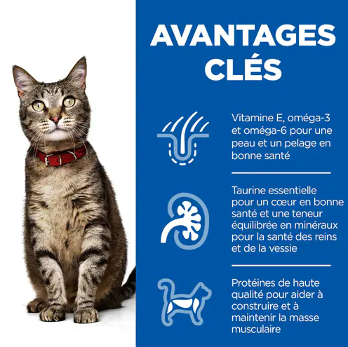Croquettes Hill’s Science Plan Croquettes pour Chat Adulte à l’Agneau