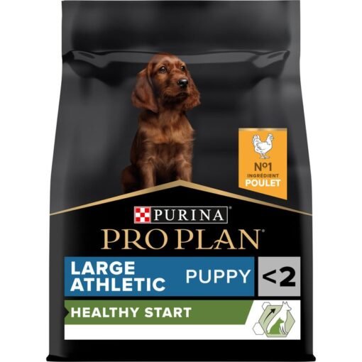 Croquettes Pro Plan Large Athletic Puppy – Poulet Alimentation pour chiots de grande taille et de morphotype athlétique