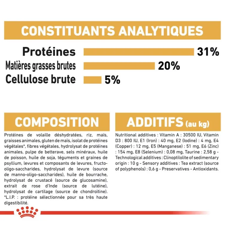 Croquettes Royal Canin ADULT MAINCOON