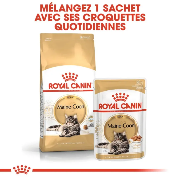Croquettes Royal Canin ADULT MAINCOON