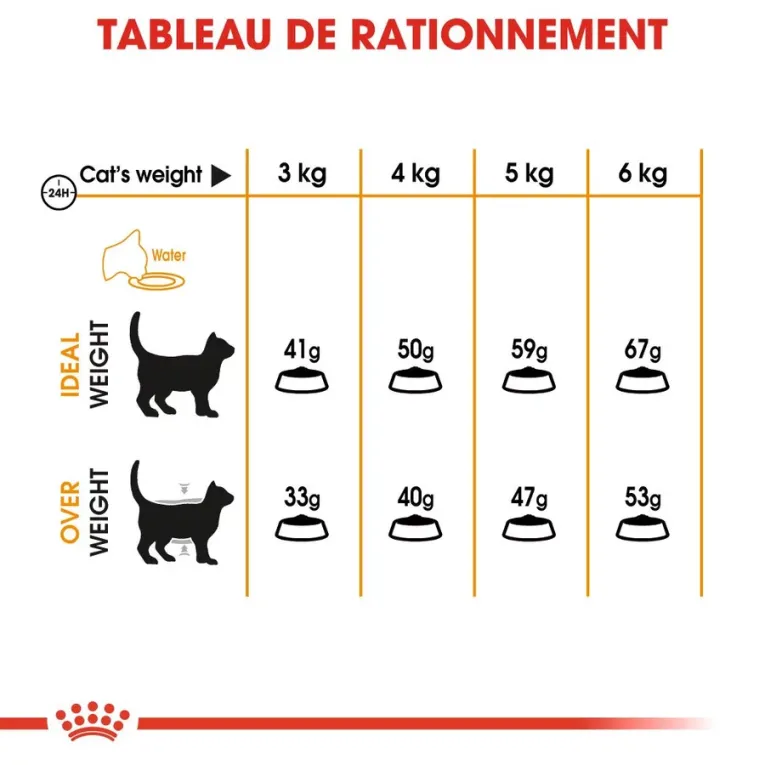 Croquettes Royal Canin Hair and Skin