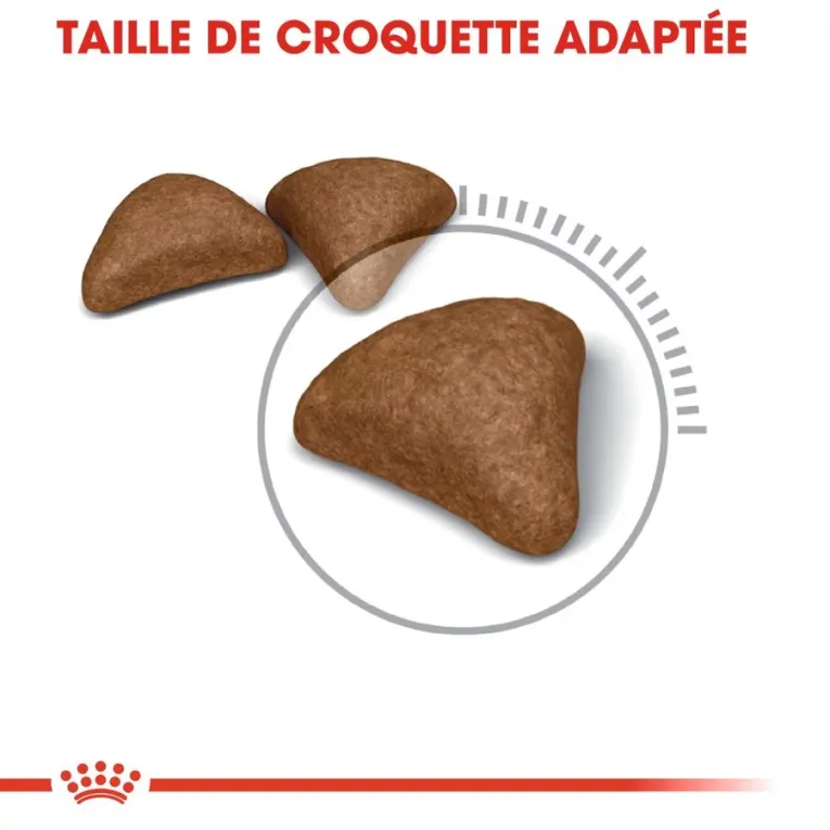 Croquettes Royal Canin HAIRBALL CARE