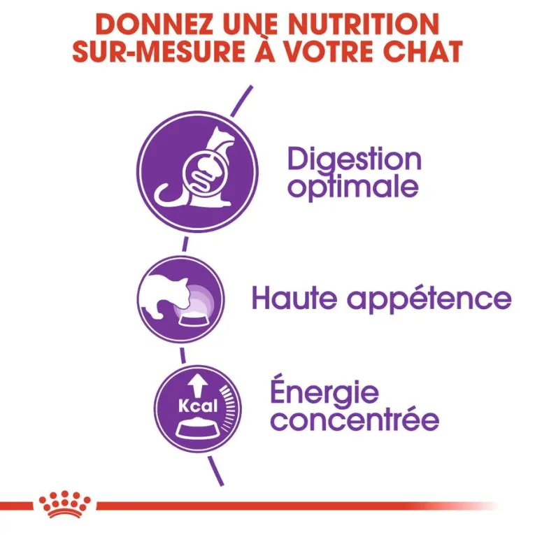 Croquettes Royal Canin REGULAR SENSIBLE 33