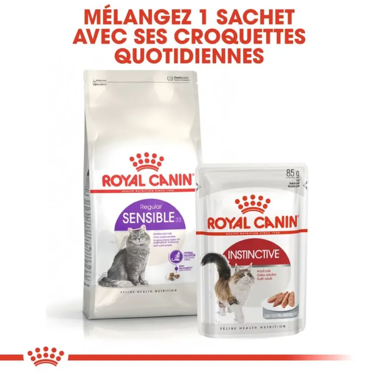 Croquettes Royal Canin REGULAR SENSIBLE 33