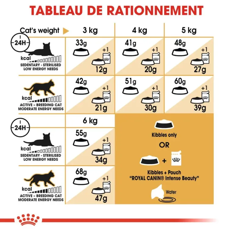 Croquettes Royal Canin Siamois Pour Chat Adulte