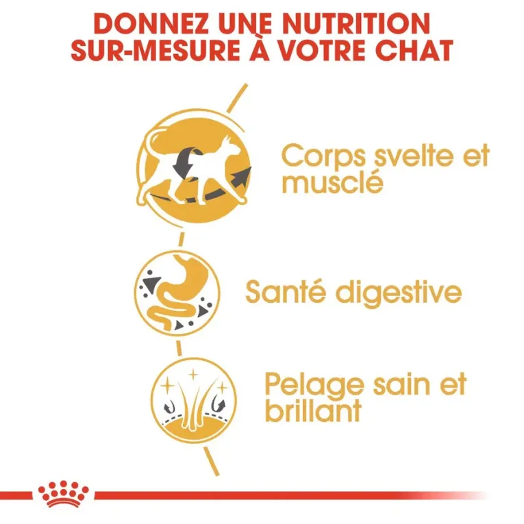 Croquettes Royal Canin Siamois Pour Chat Adulte