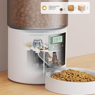 Distributeur automatique de nourriture pour chat : distributeur automatique de nourriture pour chat avec minuterie – Gamelle avec distributeur automatique de nourriture