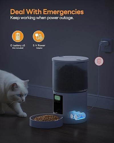 Distributeur automatique de nourriture pour chat : distributeur automatique de nourriture pour chat avec minuterie – Gamelle avec distributeur automatique de nourriture