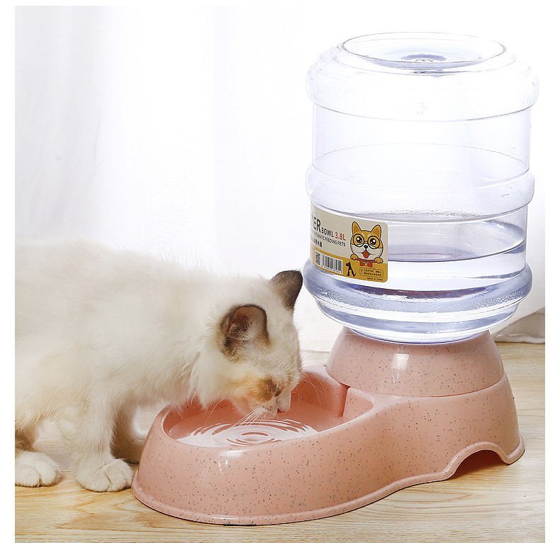 Distributeur d’eau automatique Grande taille pour chiens et chats