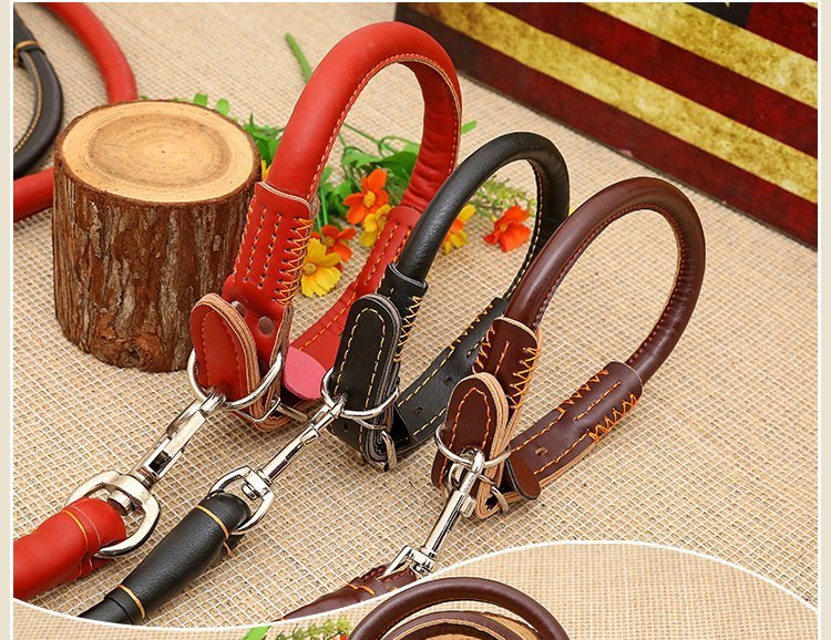 Ensemble de colliers et laisse en Cuir de haute qualité pour Chien