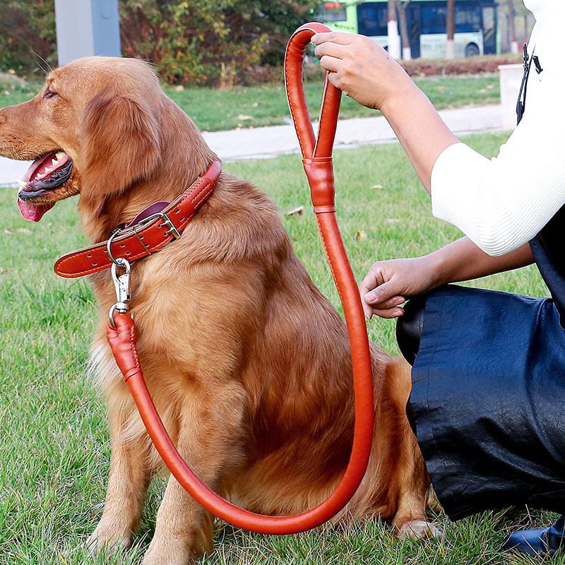 Ensemble de colliers et laisse en Cuir de haute qualité pour Chien