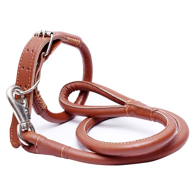 Ensemble de colliers et laisse en Cuir de haute qualité pour Chien