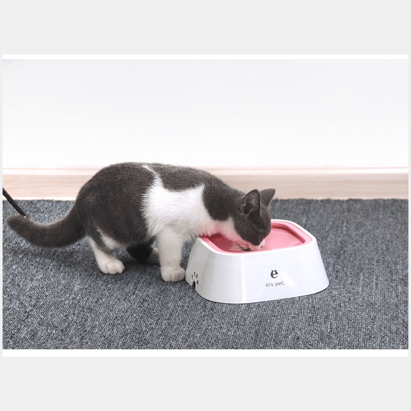 Gamelle pour Chiens Chats, Flottante Anti Éclaboussures Protection des oreilles et de la barbe Conception anti-étouffement Base antidérapante Adaptée aux déplacements