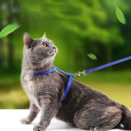 Harnais pour Chat Anti-Fuite Réglable – Multicolore, Bleu, Rose, Rouge, Noir – Avec Laisse 120 cm | Sécurisé & Confortable pour Toutes Tailles