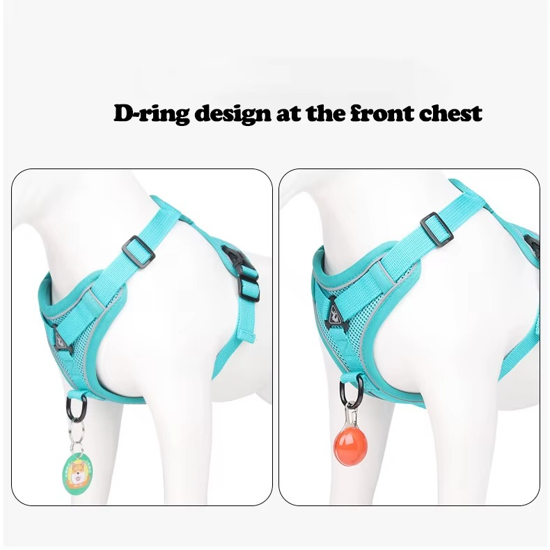Harnais Premium pour Chien et Chat – Élégant, Confortable et Ajustable avec Couleurs Chic et Tendance pour Promenades Sécurisées