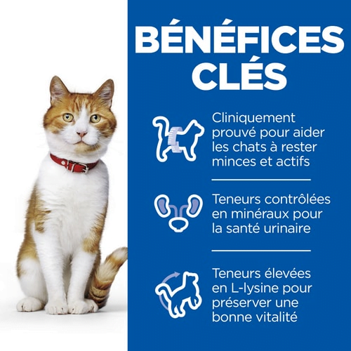 Hill's Chat Stérilisé Chat Jeune Adulte Croquettes avec Poulet | Santé Urinaire Contrôle Maintien du Poids et Vitalité Hills