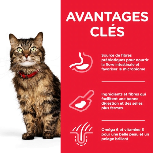 Hill's Estomac sensible & Peau Croquettes avec Poulet Pour Chat Adulte – Santé Digestive – Peau Hydratée et Pelage Brillan Hills