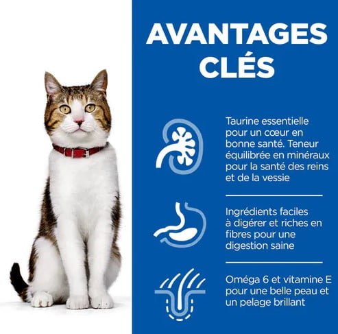 Hill's Science Croquettes Plan Mature Adult Chicken pour Chats Seniors Santé cardiaque et rénale Soutien contre le vieillissement pelage en pleine santé Hills