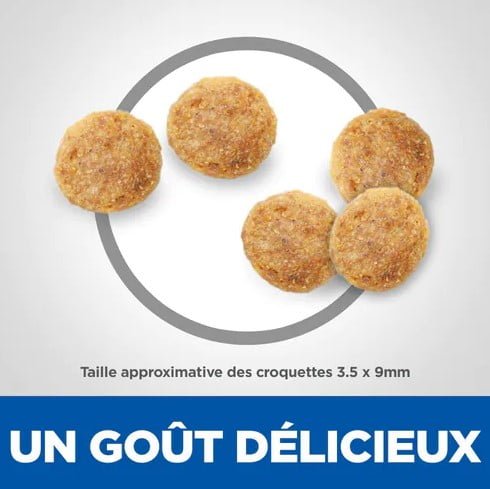 Hill's Science Croquettes Plan Mature Adult Chicken pour Chats Seniors Santé cardiaque et rénale Soutien contre le vieillissement pelage en pleine santé Hills