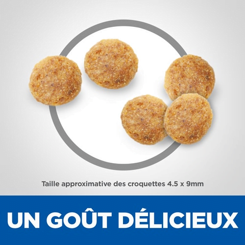 Hill's Science Plan Chat Adult Chicken Croquettes pour Chats Adultes Masse musculaire Saveur irrésistible Hills