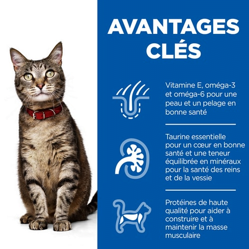 Hill's Science Plan Chat Adult Chicken Croquettes pour Chats Adultes Masse musculaire Saveur irrésistible Hills