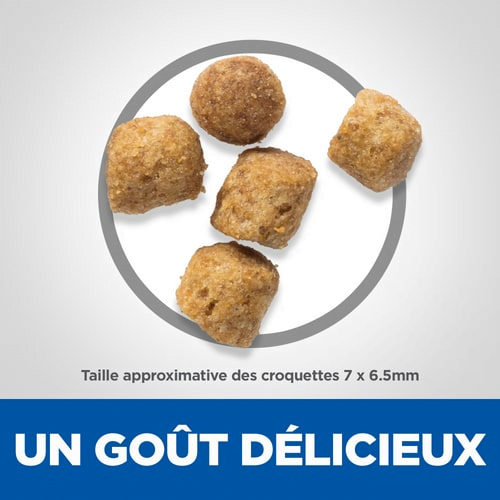 Hill's Urinary Health Croquettes avec Poulet pour chat adulte – Santé Urinaire – Gestion du Poids – Renforcement Immunitaire Hills