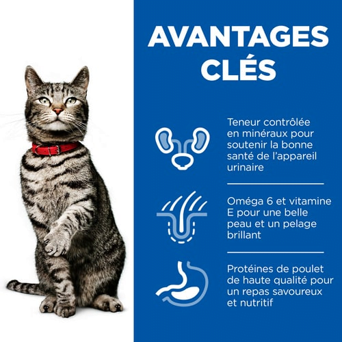 Hill's Urinary Health Croquettes avec Poulet pour chat adulte – Santé Urinaire – Gestion du Poids – Renforcement Immunitaire Hills
