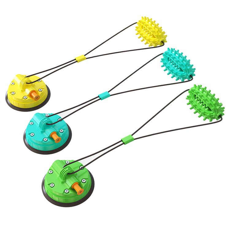 Jouet molaire pour chien avec ventouse