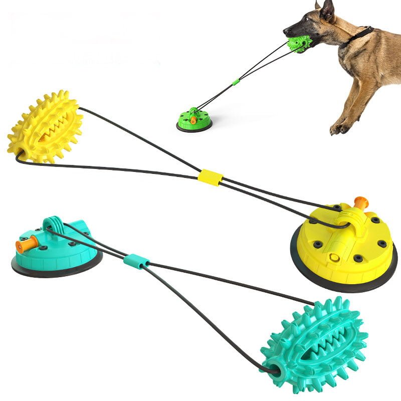 Jouet molaire pour chien avec ventouse
