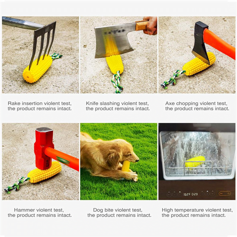 Jouet Molaire pour chien